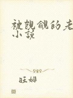 被觊觎的老实人小说