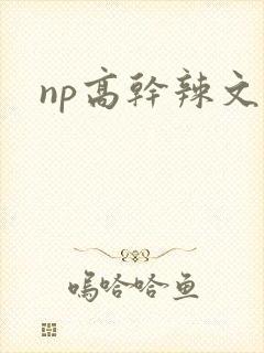 np高干辣文