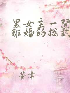 男女主一开始就离婚的总裁文