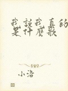 我说我真的爱你是什么歌