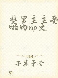 双男主主受高h啪肉np文