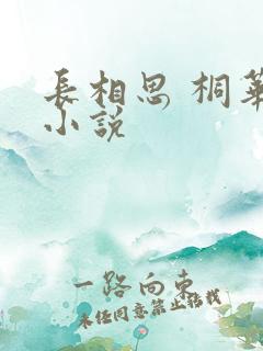 长相思 桐华 小说