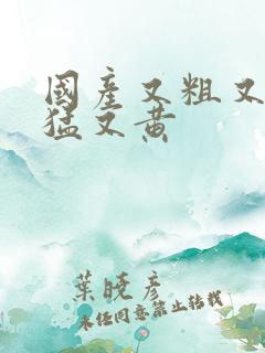 国产又粗又爽又猛又黄