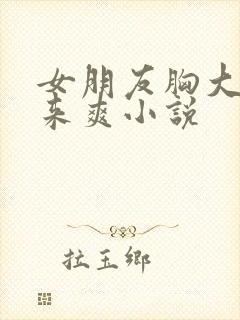 女朋友胸大做起来爽小说