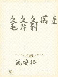 久久久国产精品毛片到