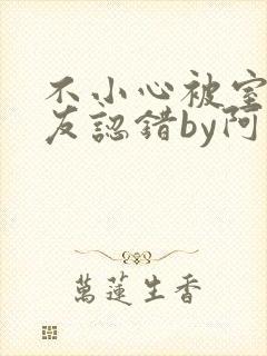 不小心被室友男友认错by阿温小说