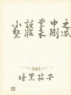 小说掌中之物完整版未删减小说