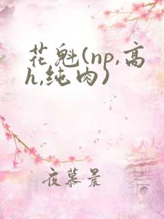 花魁(np,高h,纯肉)