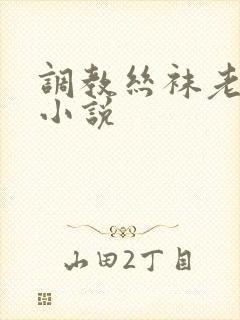 调教丝袜老师的小说