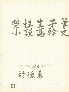 双性生子笔趣阁小说高干文