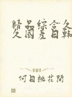 精品综合久久久久国产日韩