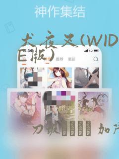 犬夜叉(WIDE版)：结局+番外