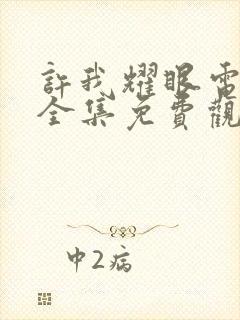 许我耀眼电视剧全集免费观看33