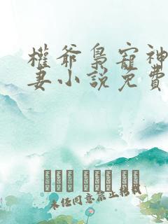 权爷枭宠神秘娇妻小说免费看