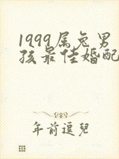 1999属兔男孩最佳婚配属相