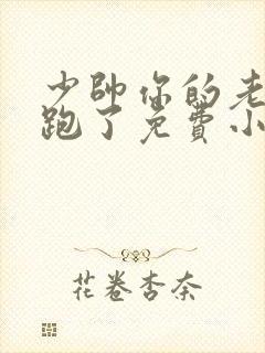 少帅你的老婆又跑了免费小说