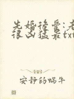 先婚后爱:老公很凶猛最txt下载