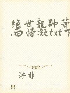 绝世龙帅萧子宁,白惜凝txt下载全本免费