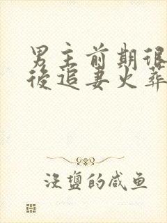 男主前期很花心后追妻火葬场