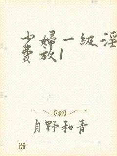 少妇一级淫片免费放1