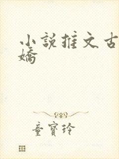 小说推文古言病娇