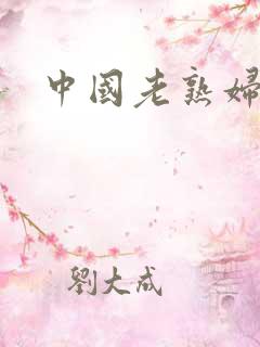 中国老熟妇网