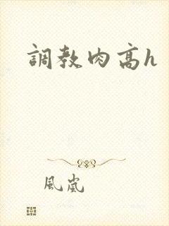 调教肉高h