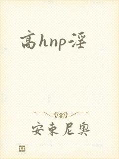 高hnp淫