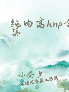 纯肉高hnp合集