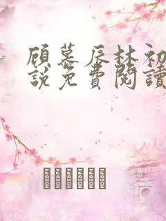 顾慕辰林初荔小说免费阅读最新章节