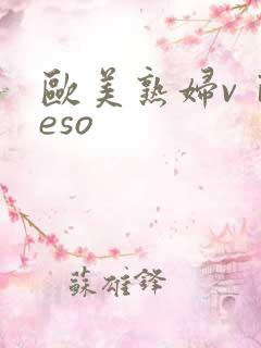 欧美熟妇vⅰdeso