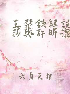 王楚钦解说孙颖莎与许昕混双回放