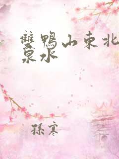 双鸭山东北王矿泉水