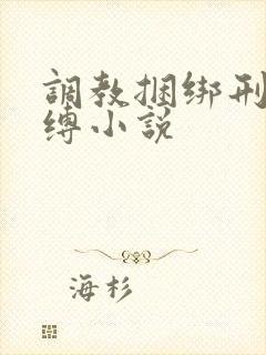 调教捆绑刑具束缚小说