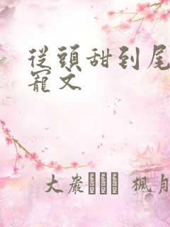 从头甜到尾的超宠文