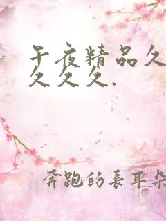 午夜精品久久久久久久.