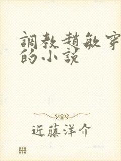 调教赵敏穿乳环的小说