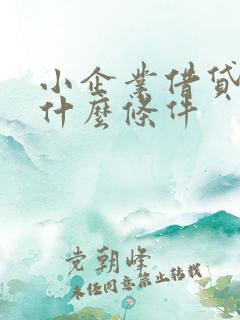 小企业借贷需要什么条件