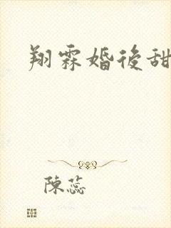 翔霖婚后甜宠文