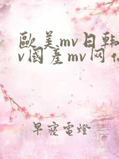 欧美mv日韩mv国产mv网站