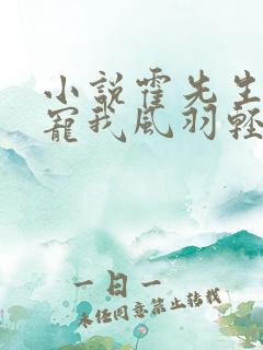 小说霍先生乖乖宠我风羽轻轻全文免费阅读