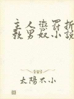 主人惩罚折磨调教男奴小说