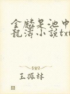 金麟是池中物侯龙涛小说txt