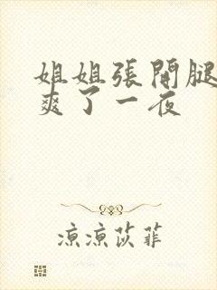 姐姐张开腿让我爽了一夜
