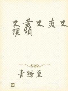 又黄又爽又高潮视频