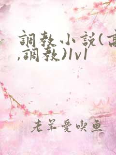 调教小说(高h,调教)1v1