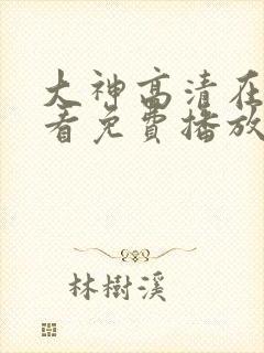 大神高清在线观看免费播放电视剧