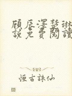 顾辰泽楚琳薇小说免费阅读最新章节