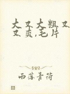 大又大粗又粗爽又爽,毛片