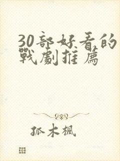 30部好看的谍战剧推荐